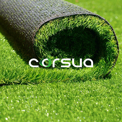 Corsua